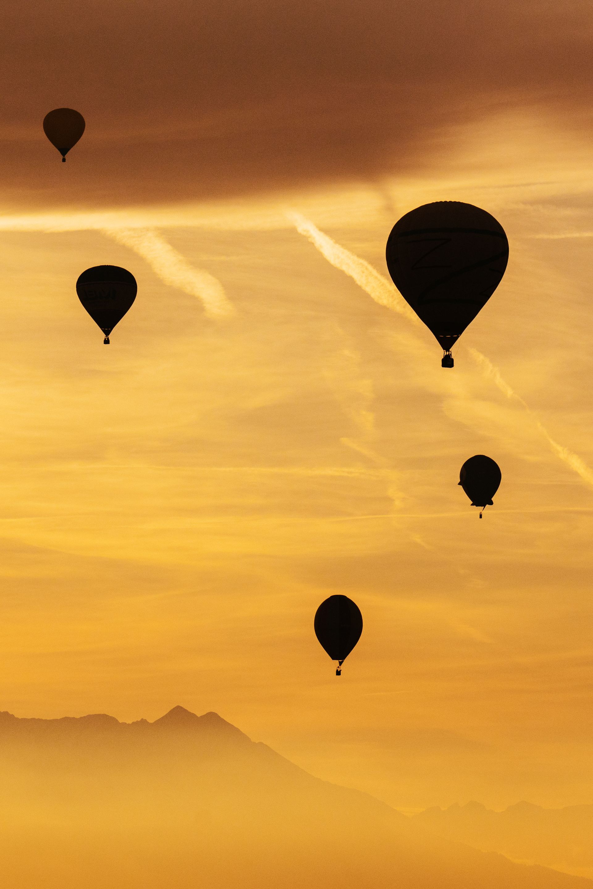 Studio Leonardo Mongolfiere 4