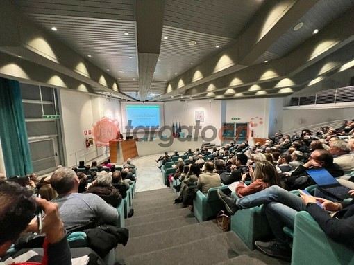 Controlli per locali e manifestazioni pubbliche, Giordana: "Siano ascoltate le ragioni dei sindaci"