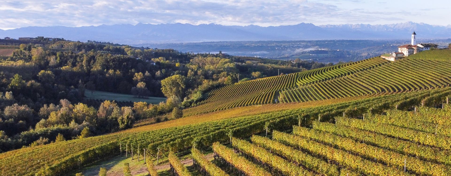 Studio Leonardo SRL Azienda Agricola Roberto Sarotto 2